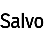 Salvo Sans