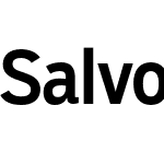 Salvo Sans