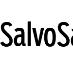 Salvo Sans