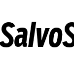 Salvo Sans