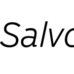 Salvo Sans