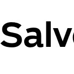 Salvo Sans