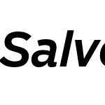 Salvo Sans