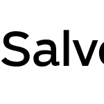 Salvo Sans