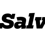 Salvo Serif