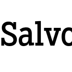 Salvo Serif