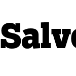 Salvo Serif