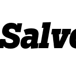 Salvo Serif