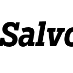 Salvo Serif