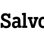 Salvo Serif