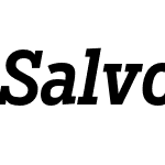 Salvo Serif