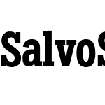 Salvo Serif