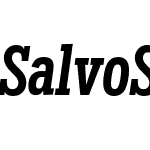 Salvo Serif