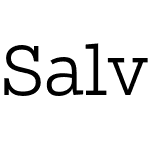 Salvo Serif