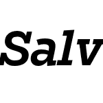 Salvo Serif