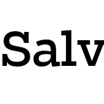 Salvo Serif