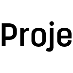 Project Sans