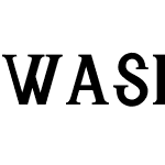 Washington DC Serif