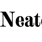 Neato Serif