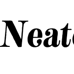 Neato Serif