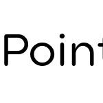 Point Soft