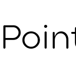 Point Soft