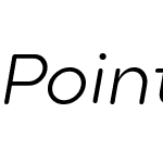 Point Soft