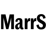 Marr Sans Condensed Semibold