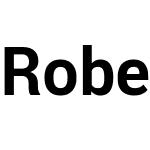 Robert Sans