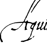 Aquiline