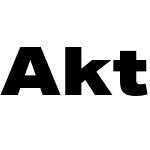 Aktiv Grotesk W04