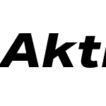 Aktiv Grotesk W04 X