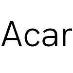 Acari Sans Neue