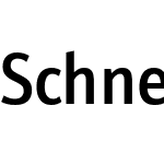 Schnebel Sans Pro Cond
