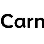 Carnero
