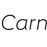 Carnero