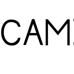 CAMI Primary