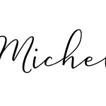 Michel Flow