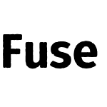 Fuse V.2 Printed Display