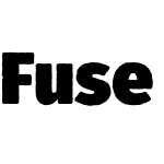 Fuse V.2 Printed Display