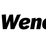 Wendelin Pro