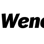 Wendelin Pro