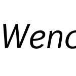 Wendelin Pro