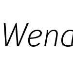 Wendelin Pro