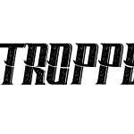 Tropper