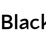 Blacker Sans