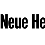 NeueHelveticaW04-79CmBold