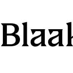 Blaak Light PERSONAL USE