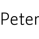 Peter Schmidt Sans