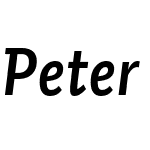 Peter Schmidt Sans